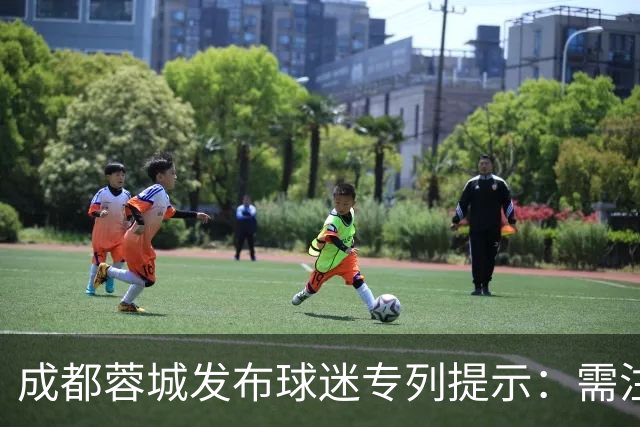 成都蓉城发布球迷专列提示：需注意人身财产安全，建议购买保险