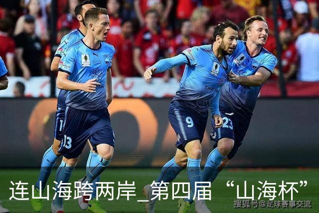 连山海跨两岸 第四届“山海杯”青少年足球赛在厦门举行
